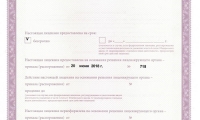 Стоматология Пломба клиник